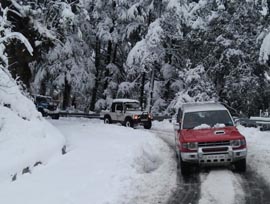 Shimla Kullu Manali Car Tour